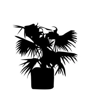 Palm tree in a poat silhouette vector illustration, coconut tree  vector art, Stock Illustration