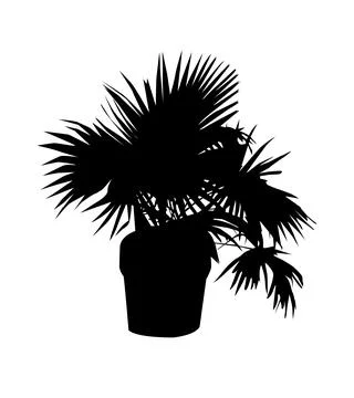 Palm tree in a poat silhouette vector illustration, coconut tree  vector art, Stock Illustration