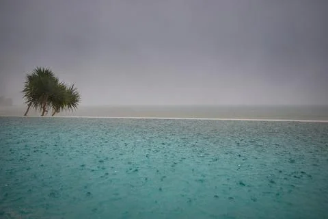 A palm tree by the pool in a luxury villa and the sea, it is raining heavily in Photos