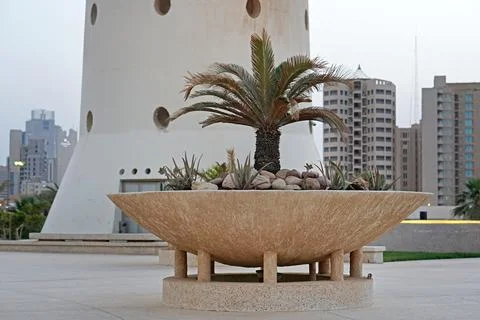 Palm tree pot Kuwait Stock Photos