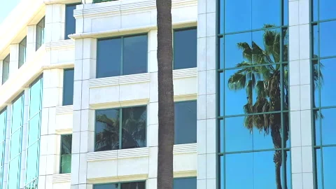 Palm Tree Reflected in Glass Office Building Los Angeles, California Stock Footage 250226921