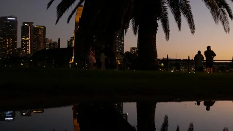 Palm tree reflection and evening tourists admire Sydney city view 6K Video stock 308498524