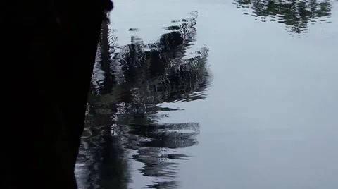 Palm Tree Reflection in the blue lagoon Stock Footage 52614570