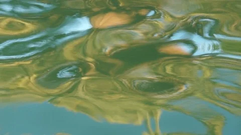 Palm tree reflection on little waves in a pool - close up Stock Footage 93736885