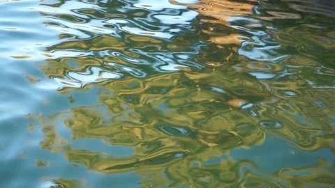 Palm tree reflection on little waves in a pool - medium shot Stock Footage 93737860