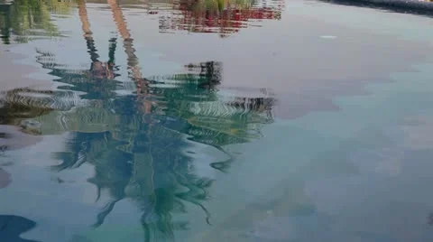 Palm tree reflection pool Vidéo 10931059
