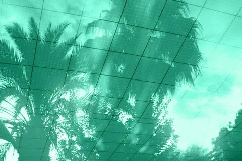 Palm tree reflections in pool water in trending green color Stock Photos