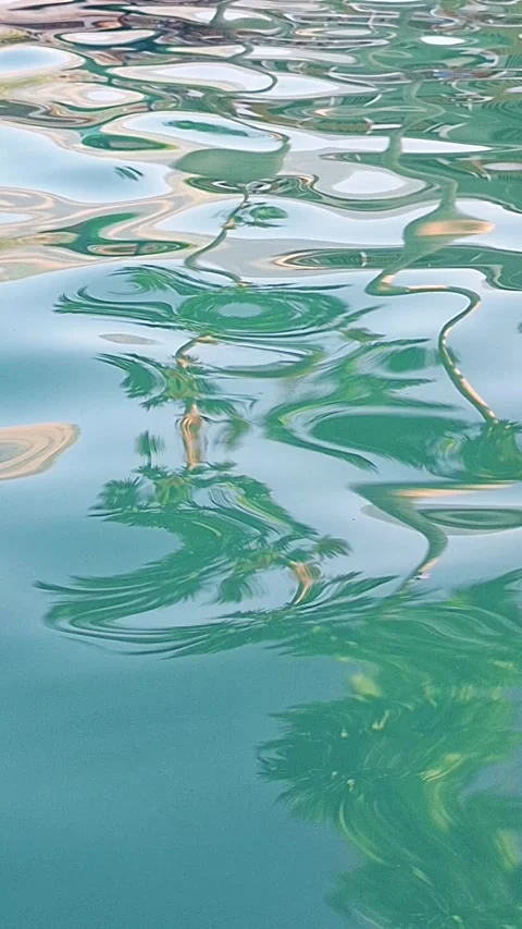 Palm Tree Reflections on Turquoise Swimming Pool Water Видео 338400443