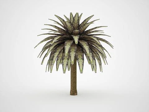 Palm tree rendered Stock Illustration