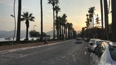 Palm tree road Stock Footage 143114640