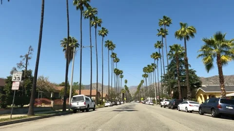 Palm Tree Row Clip 1 Video stock 151560343