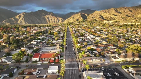 Palm Tree Row Fly Over Stock Footage 263076279