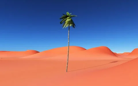 Palm tree in a sand desert Illustrazione stock