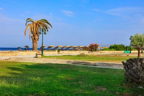 Palm tree at sandy beach, sea in Greece Stock Photos