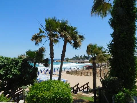 Palm tree seen against a cloudless blue sky on the waterfront in Paphos, Foto stock