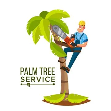 Palm Tree Service Vector. Professional Man. Trimming Tree Or Removal To Tree Stock Illustration