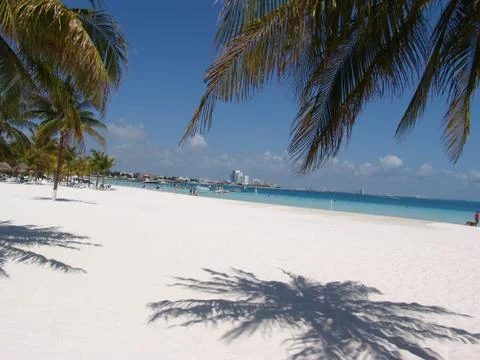 Palm tree shadow 2 Foto stock