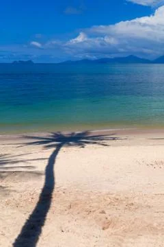 Palm tree shadow on the beach Stock Photos