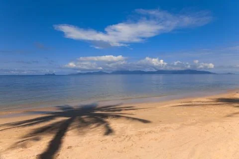 Palm tree shadow on the beach Stock Photos