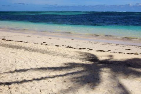 Palm tree shadow on the beach Stock Photos