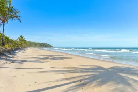 Palm tree shadow on beautiful sandy beach 库存照片