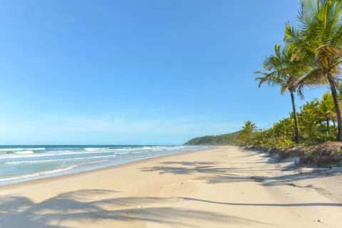 Palm tree shadow on beautiful sandy beach Stock Photos
