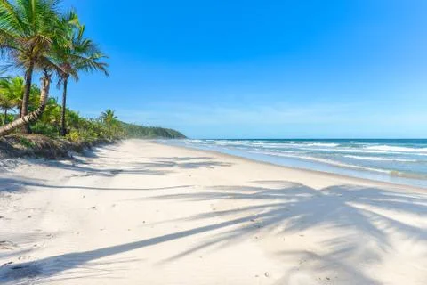 Palm tree shadow on beautiful sandy beach Stock Photos
