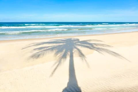 Palm tree shadow on beautiful sandy beach 库存照片