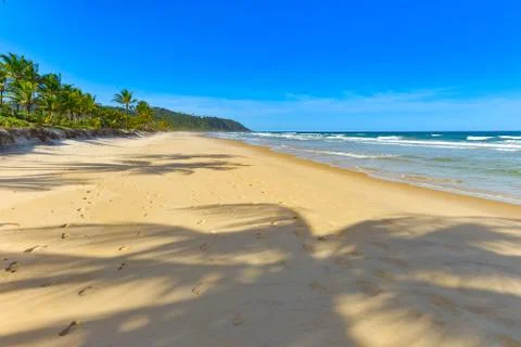 Palm tree shadow on beautiful sandy beach Stock Photos
