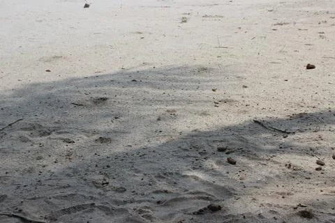 Palm tree shadow on sand Stock-Fotos