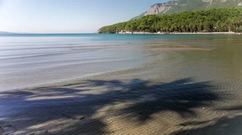 Palm tree shadow on sandy beach with gentle tide on the sea. 4k Stock Footage 61767572