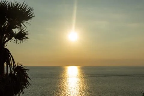 Palm tree shadow at sunset time Stock Photos