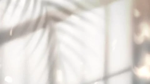 Palm Tree Shadow Swaying on Elegance Blind Silhouette Wall Background Stock Footage 286364843