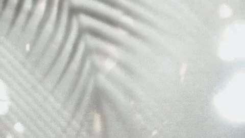 Palm Tree Shadow, Swaying Slowly with Aesthetic Natural Warm Light 動画素材 292307455