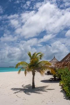 Palm tree shadow on white sand by cabanas in Maldives atoll resort Stock-Fotos