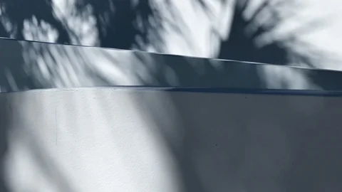 Palm Tree Shadows Abstract Wall Stock Footage 103949884