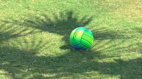 Palm Tree Shadows And Ball Stock Footage 95842737