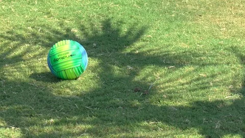 Palm Tree Shadows And Bouncing Ball Stock Footage 95842805