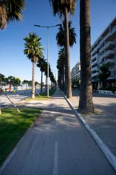 Palm tree shadows playing across the Venice Beach bike path at sunrise. Stock-Fotos