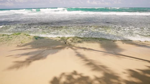 Palm tree shadows stretch over golden sand at sunny tropical beach. Waves crash Stock Footage 270249717