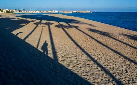 Palm tree shadows stretching across a sandy beach Stock Photos