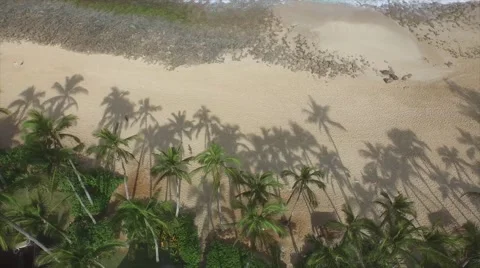 Palm Tree shadows on a white sandy beach Stock Footage 47286379