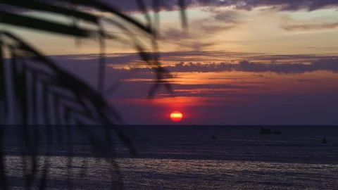 Palm Tree Silhouette Against Orange Sunset Sky. Stock Footage 290301043