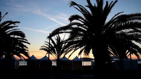 Palm tree silhouette in Alghero seafront at sunset. Sardinia, Italy Stock Footage