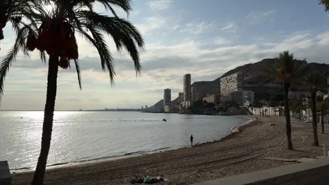 Palm tree silhouette on beach with buildings and mountain in Alicante Stock Footage 294821333