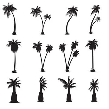 Palm tree silhouette elements set vector illustration Stock Illustration