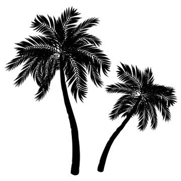 Palm Tree Silhouette Stock Illustration