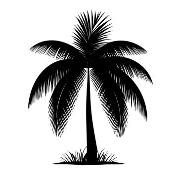 Palm tree silhouette logo isolated on white background 스톡 일러스트