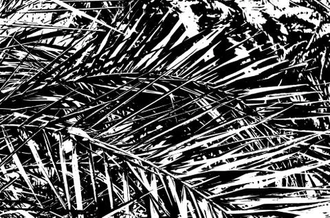 Palm tree silhouette Stock Photos