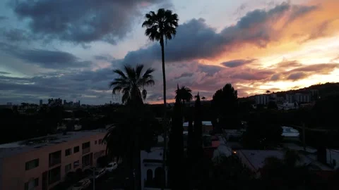 Palm Tree Silhouette Sunset Clouds Stock Footage 240562160